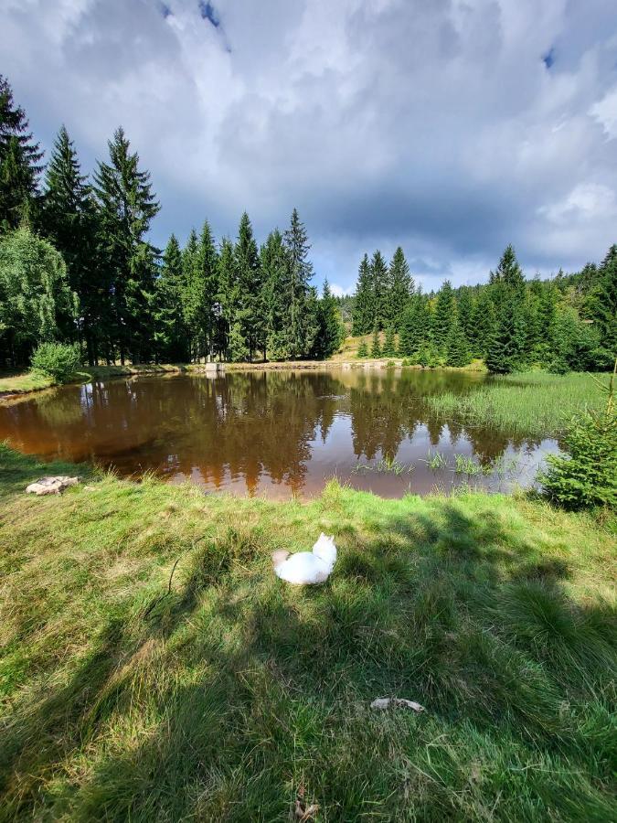 Apartman U Zlate Brizy Krusne Hory - Erzgebirge Horní Blatná 외부 사진